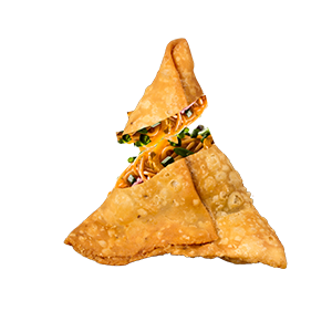 Noodle Samosa